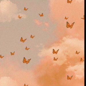 Meet your Posher, Jacque